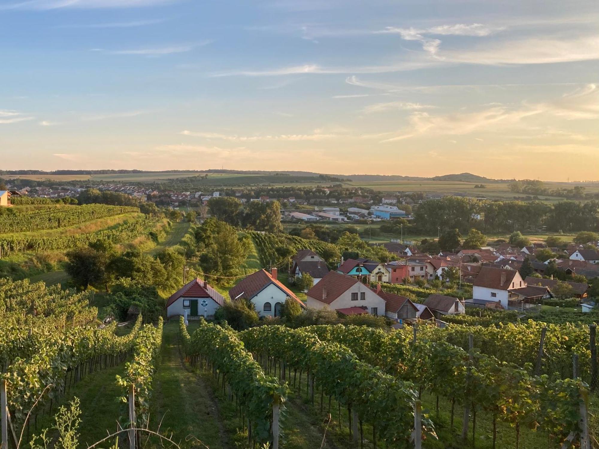 Pod Vinohradem - Apartmany & Vinne Sklepy Mutěnice Exterior foto